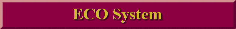 ECO System