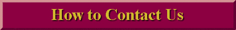 How to Contact Us