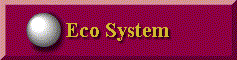 ECO System